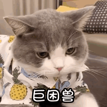 每日糖前15，周四v501