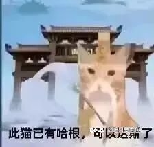 提前15s开天命buff，那么20s内至少可以稳定打出两套1