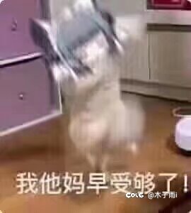 什么时候把黑牙的价格打下来  1e1件属实离谱啊1