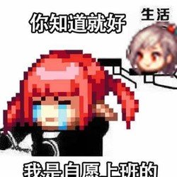 阿这，阿珍你来真的2