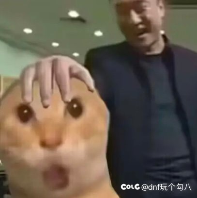 透明真便宜啊1