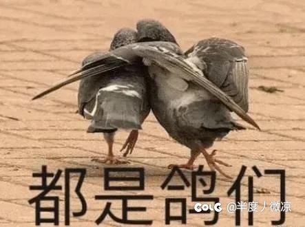 跨6小团体人造神招人1