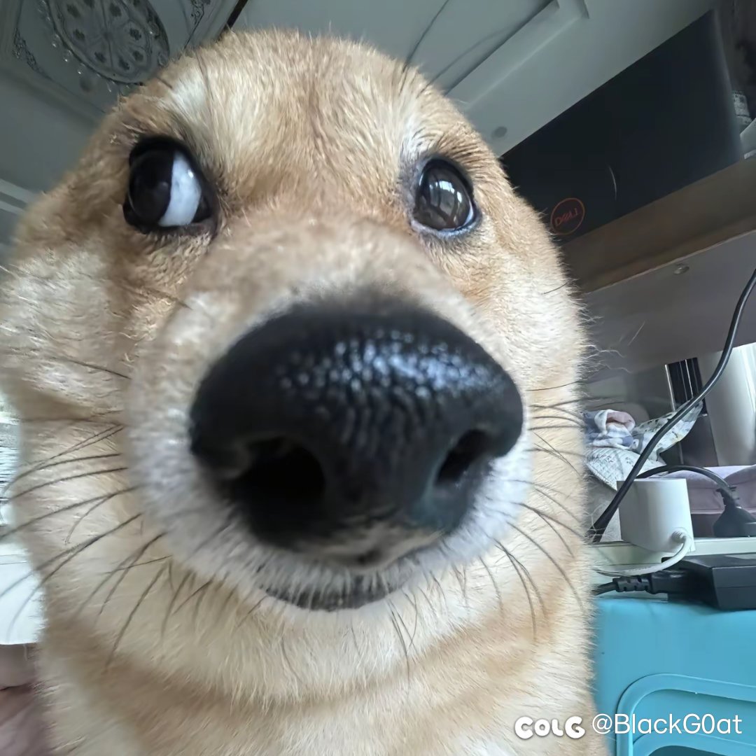 你们会怎么选1