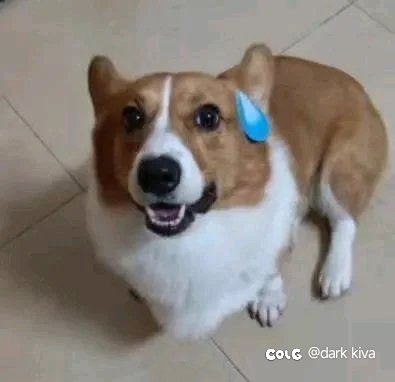 传世手弩估计是🔪了旱厕M了1