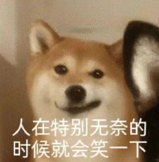 人在特别无奈的时候就会笑一下2