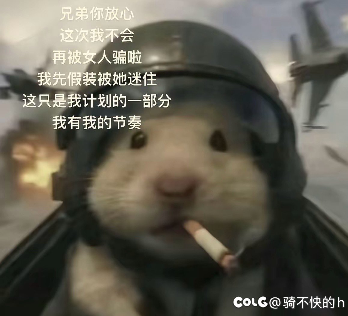 编年能给 [普通装扮兑换劵] 二选一吗1