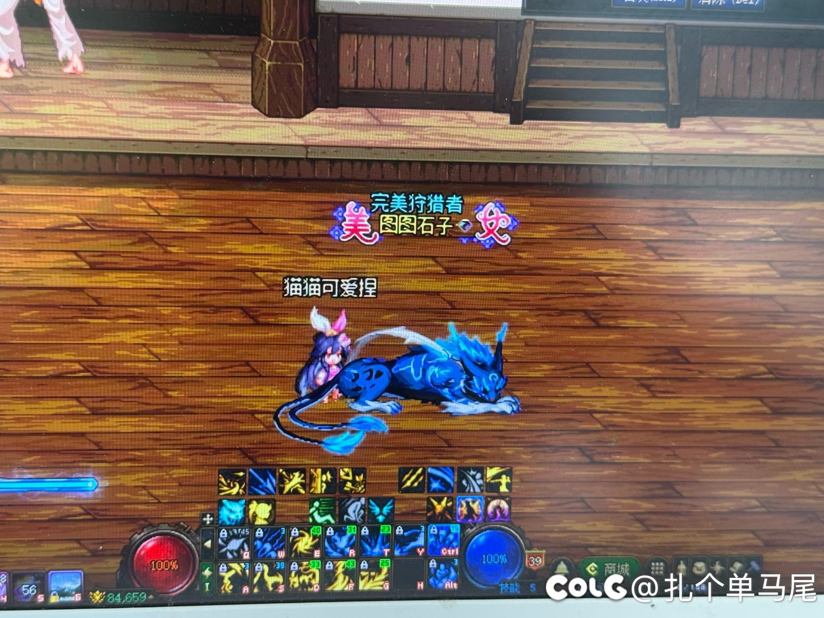 猫猫太可爱了捏2