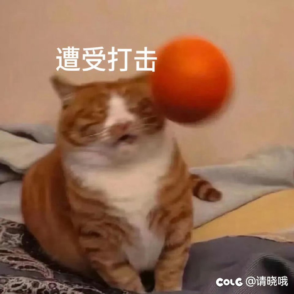 🐜🐜蚂蚁爬了，现在疯狂刷新C站等夏日套爆料1