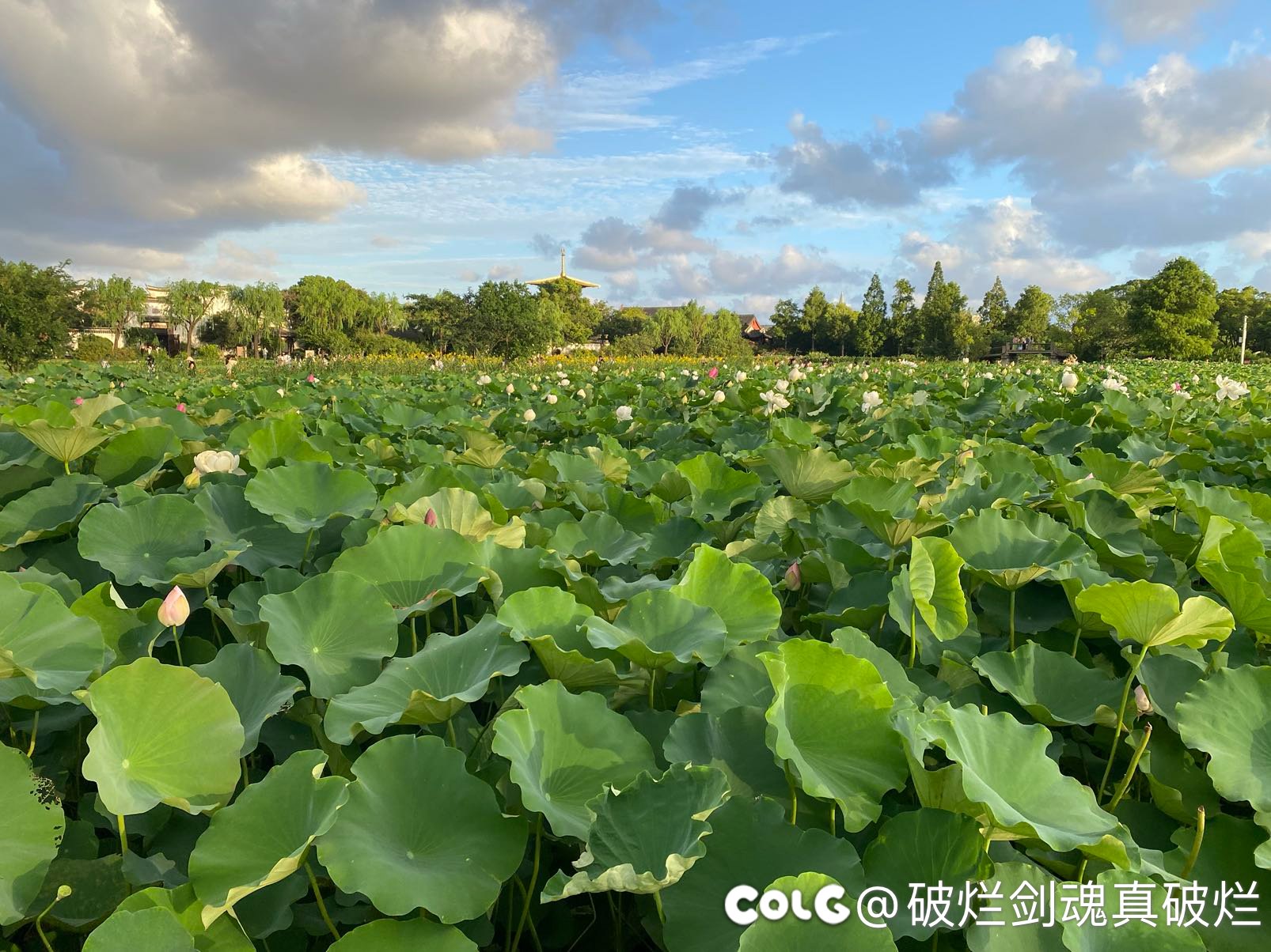 这波装备平衡我算是看透了策划的小心思！1