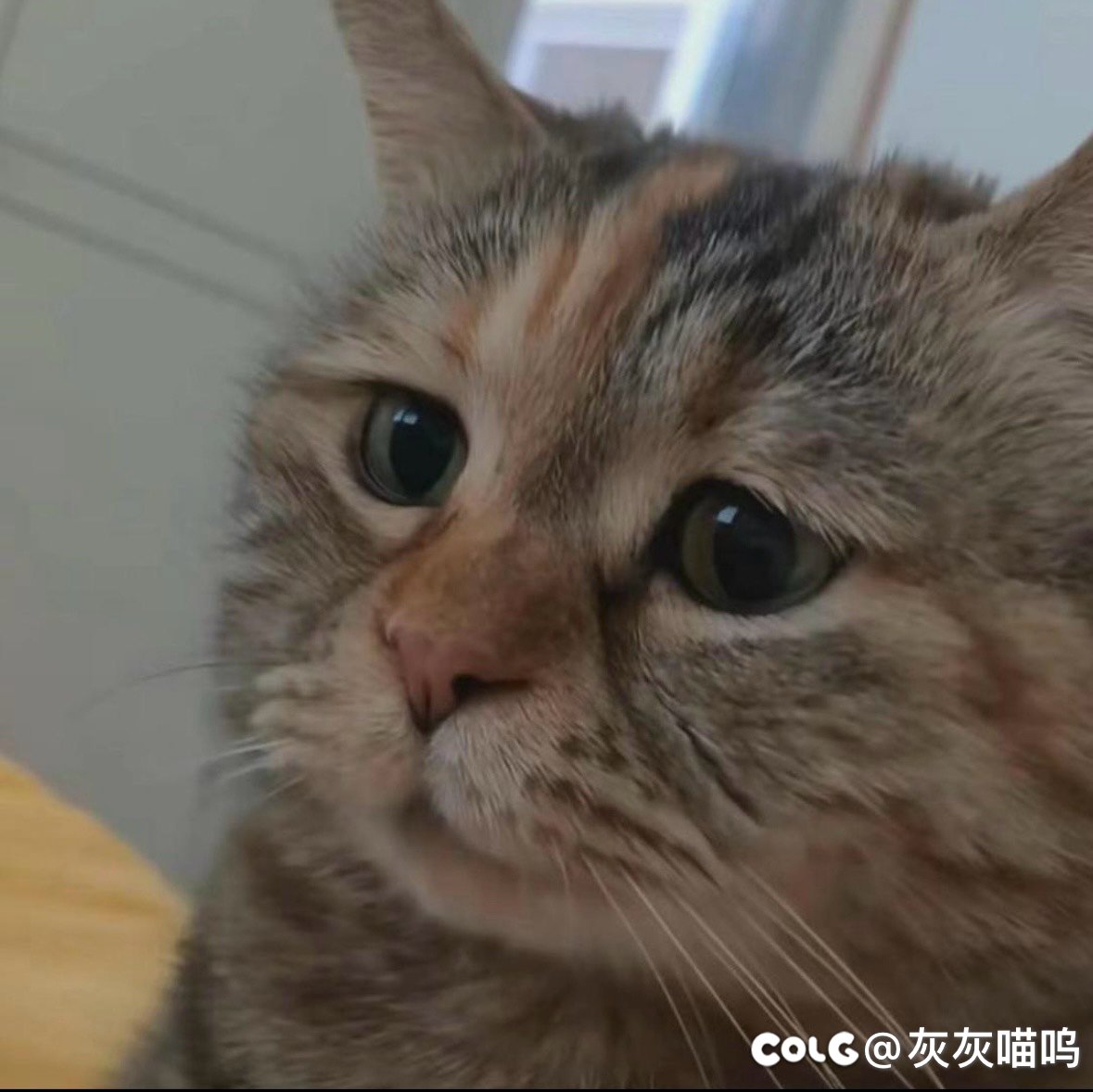 想问一下哪个职业做大号比较好1