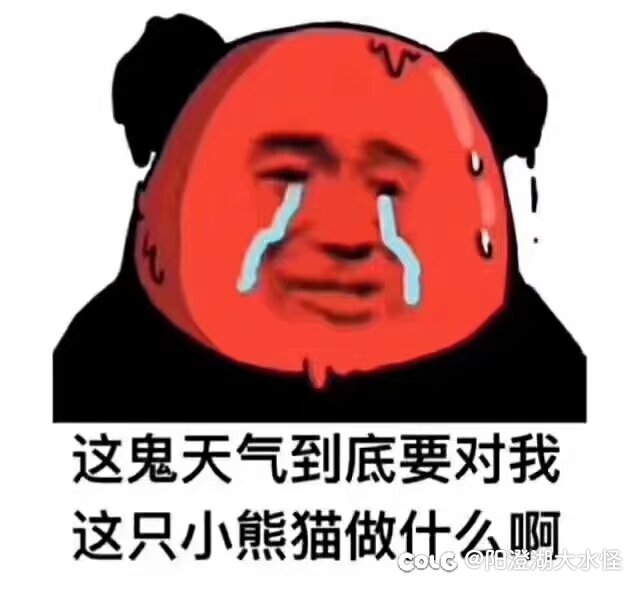 大胆预言一波1