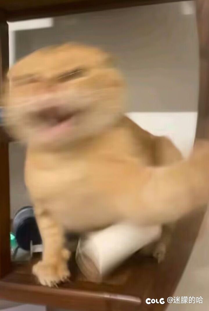 群猎的爆率是不是太高了?3