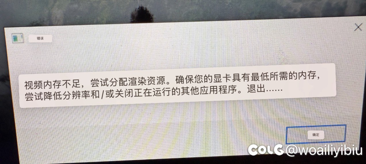 好久没玩黑猴，进不去了（为啥会直接爆显存呀）2