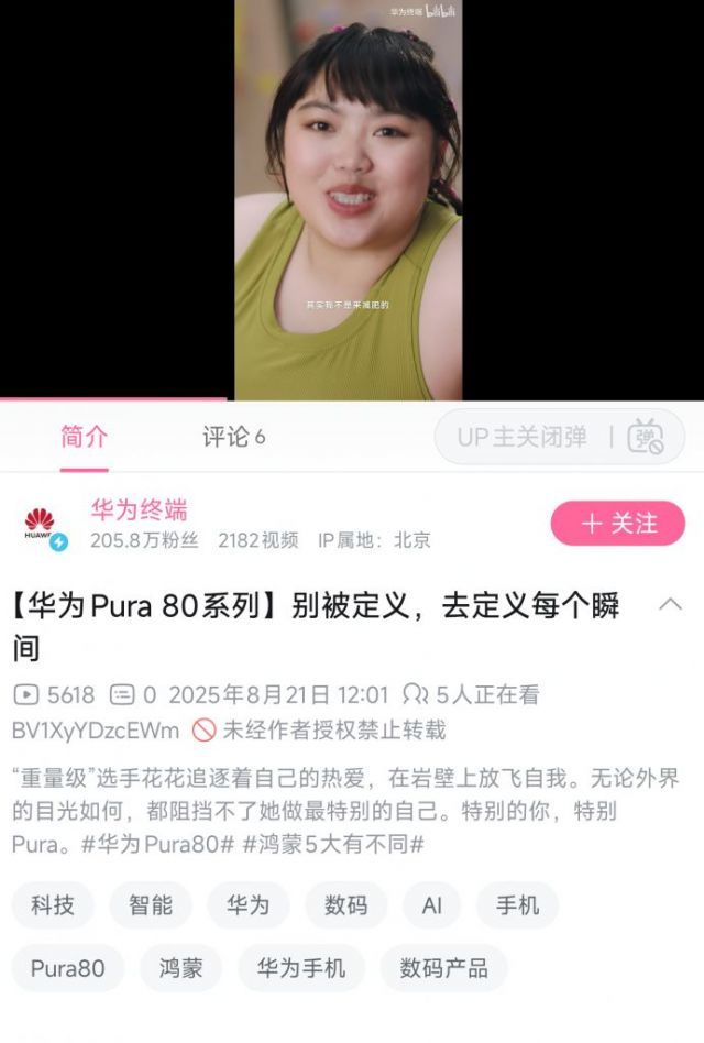 菊花乐子1