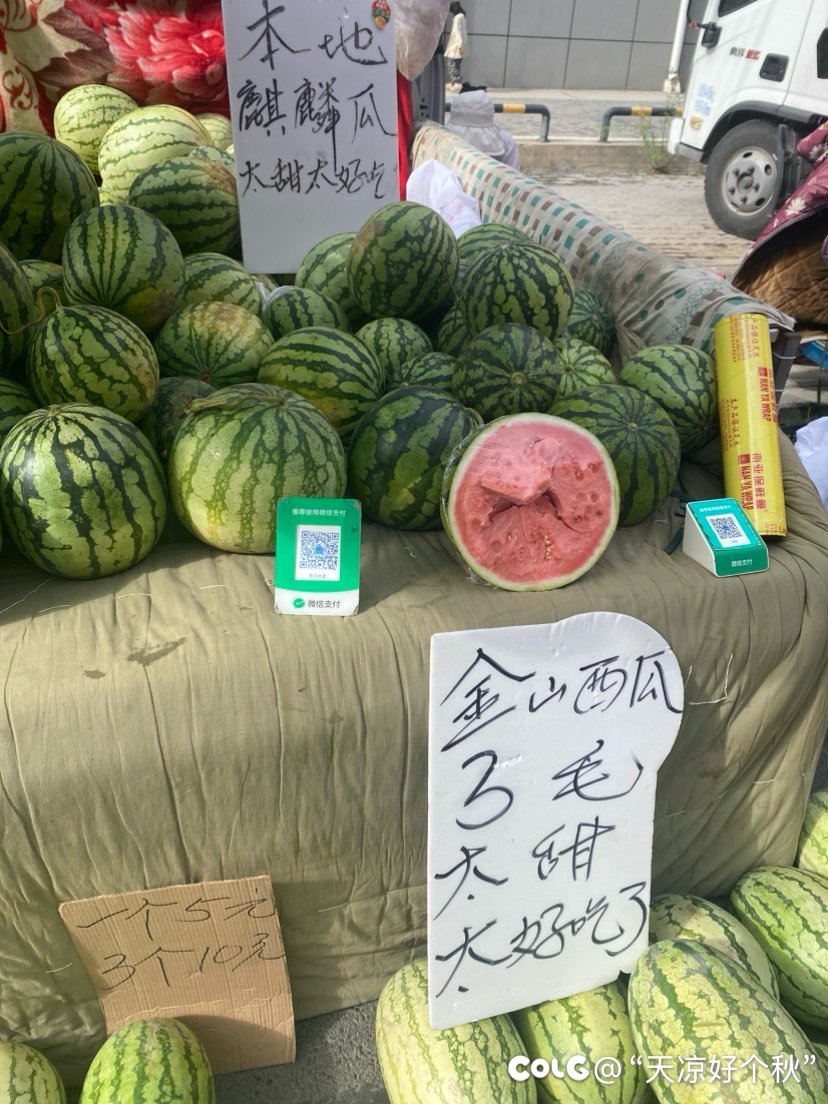 西瓜脑袋狂喜！！！1