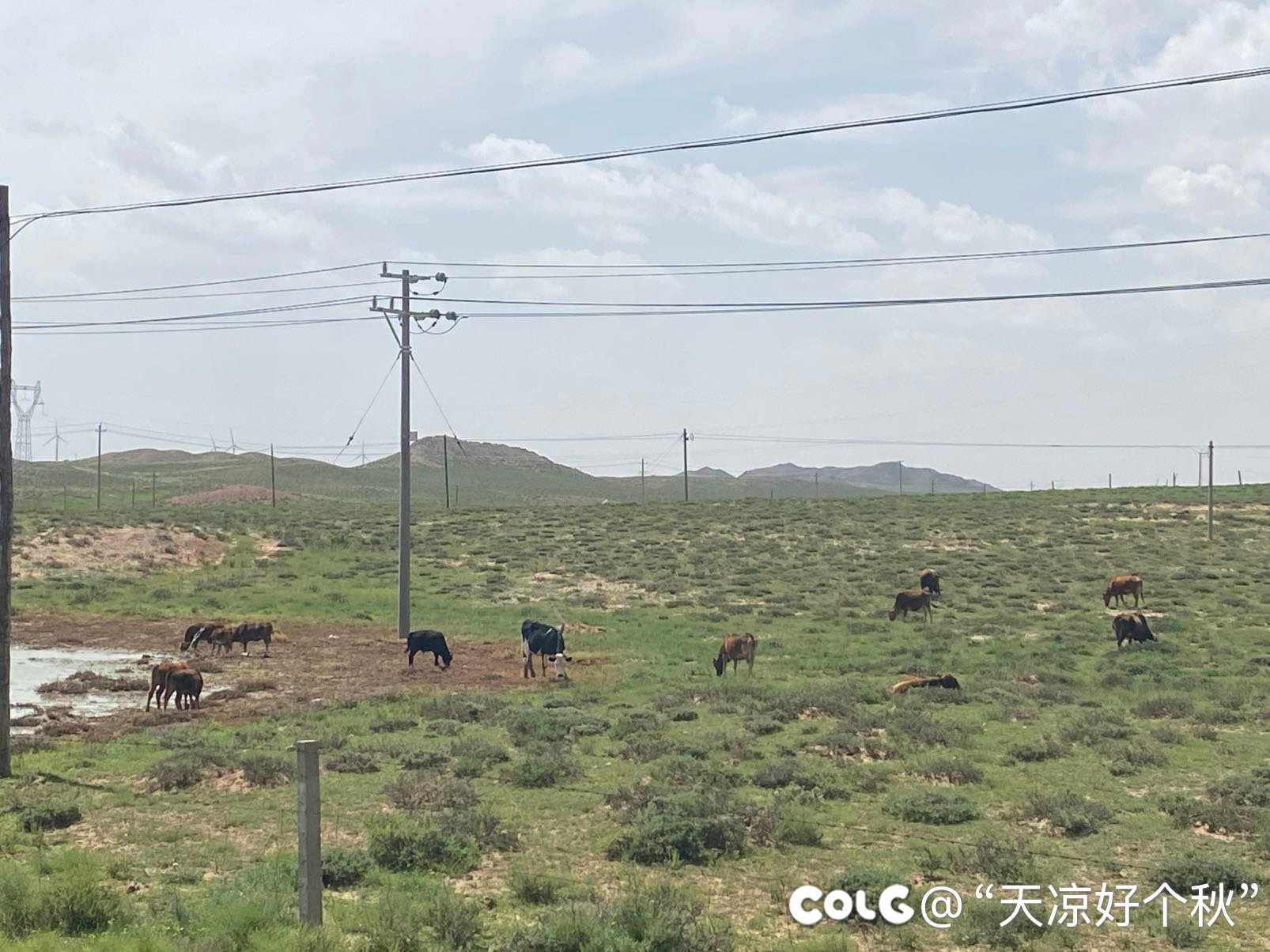 贺兰山草原隔壁沙漠3