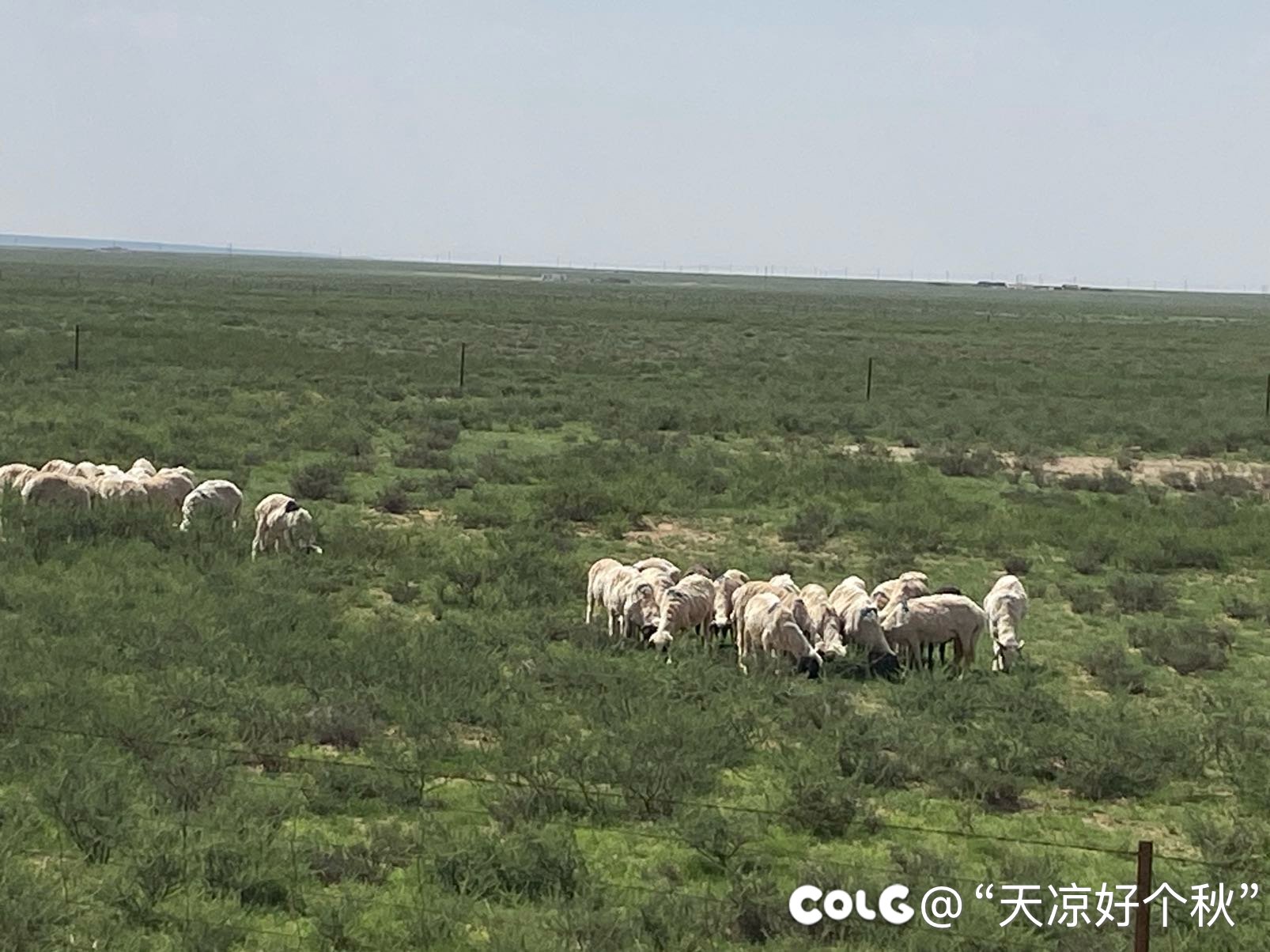 贺兰山草原隔壁沙漠4