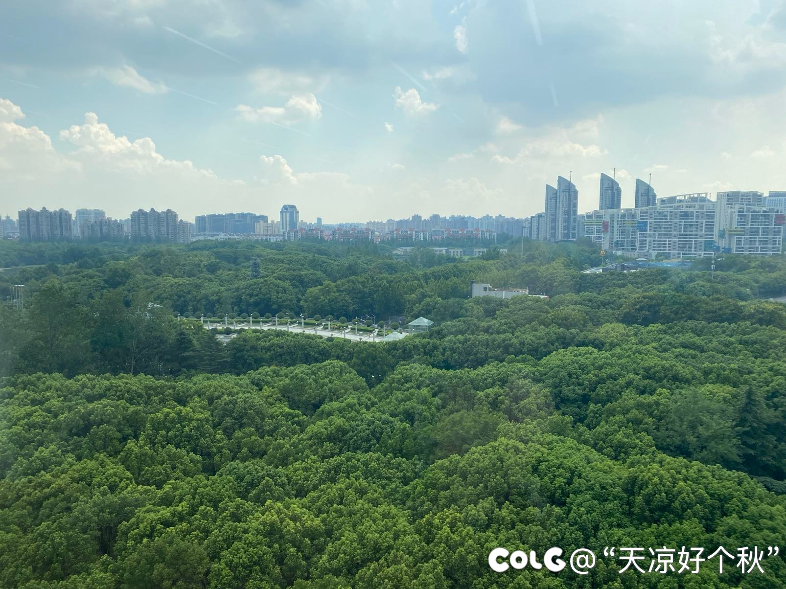 上海也可以很chill啊3