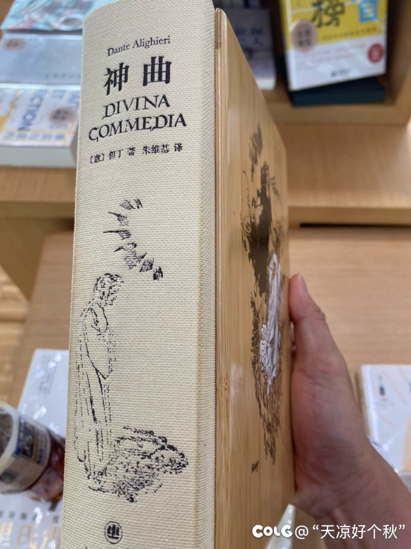 上海也可以很chill啊5