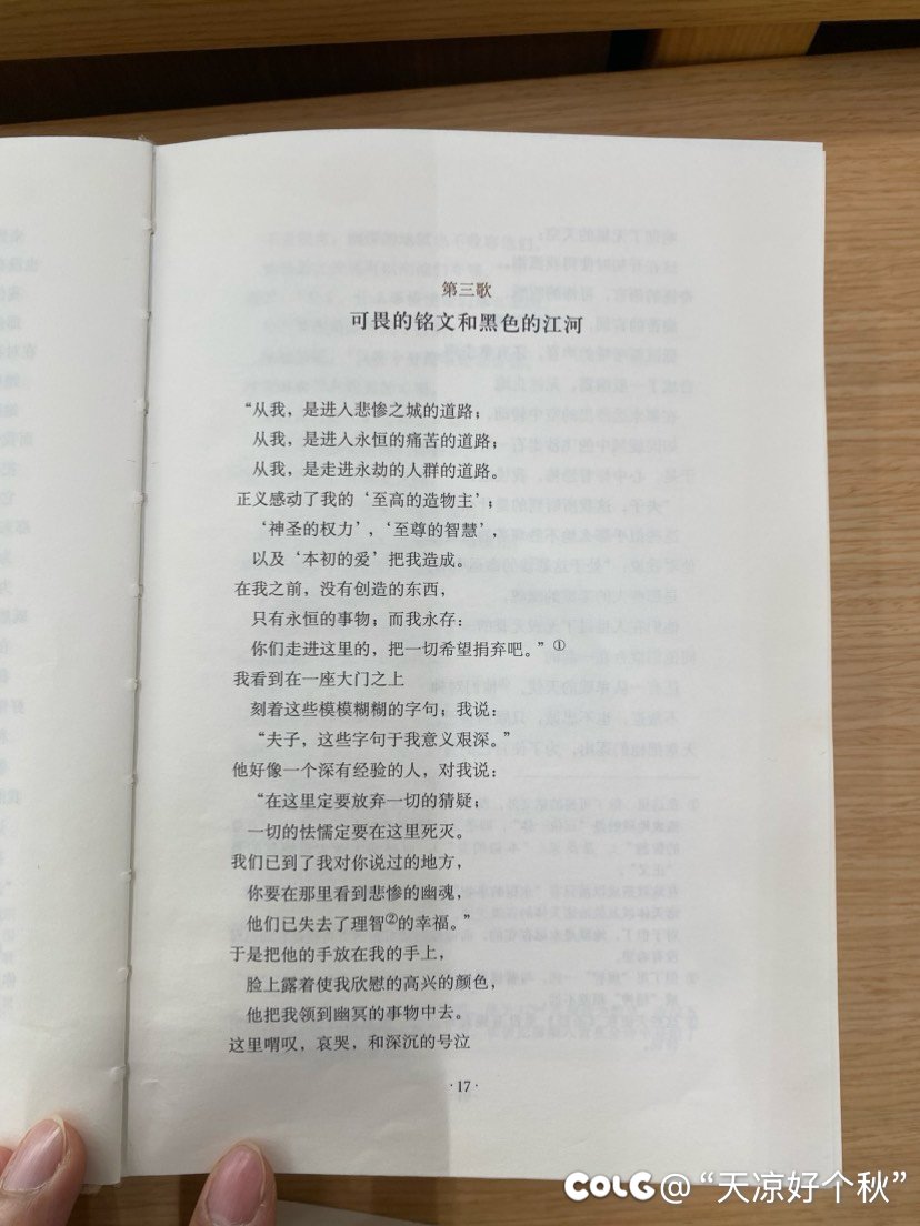 上海也可以很chill啊7