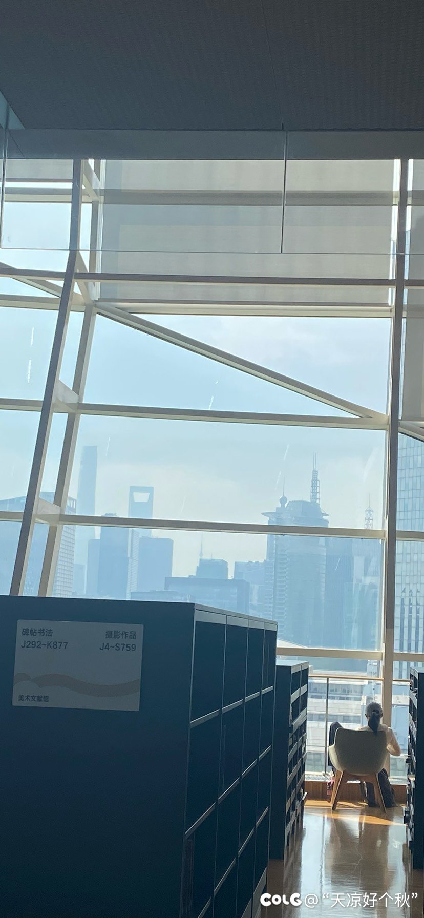 国际都市里孩子的顶级视野1