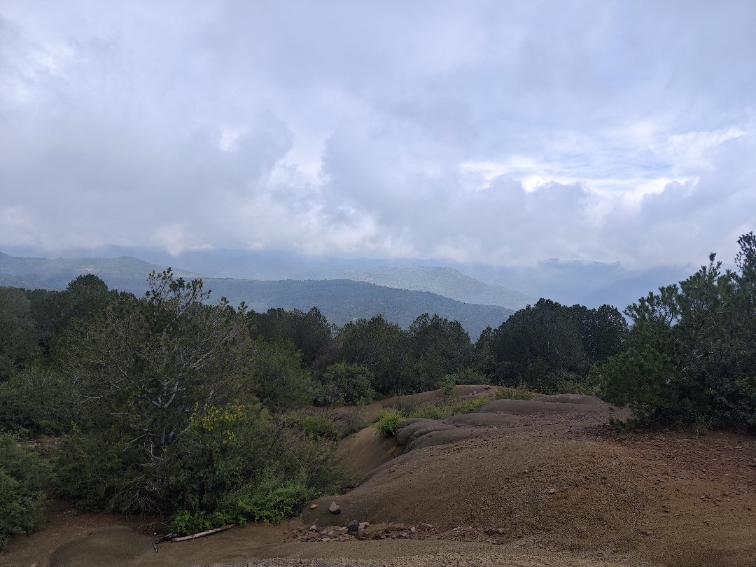 【有糖】昨日爬山4