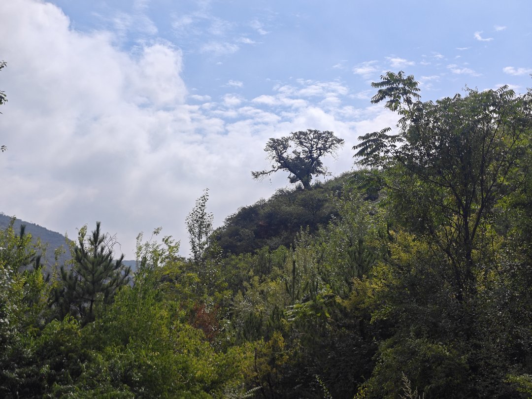 【有糖】昨日爬山5