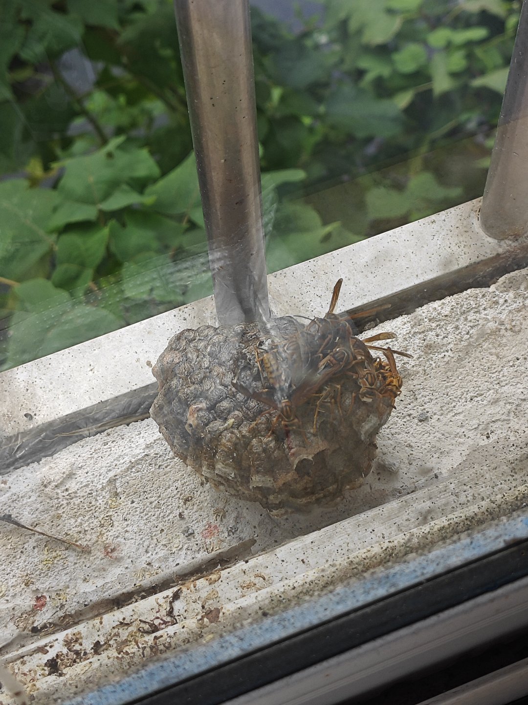 害怕1
