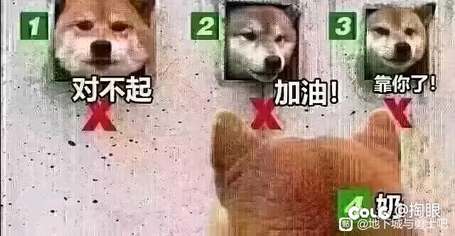 回顾一下1109