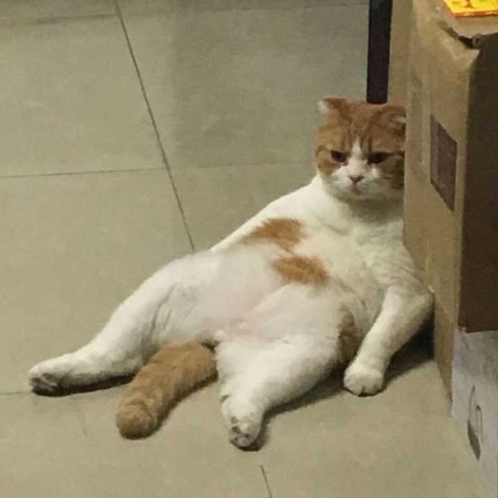 AI手办1