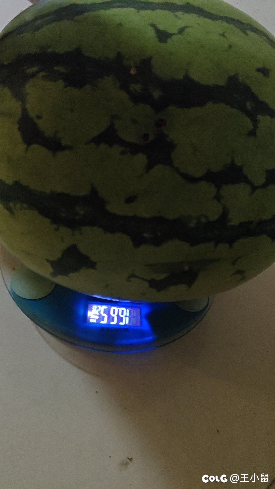 谁买了黑剑，看看+15的黑剑长啥样1