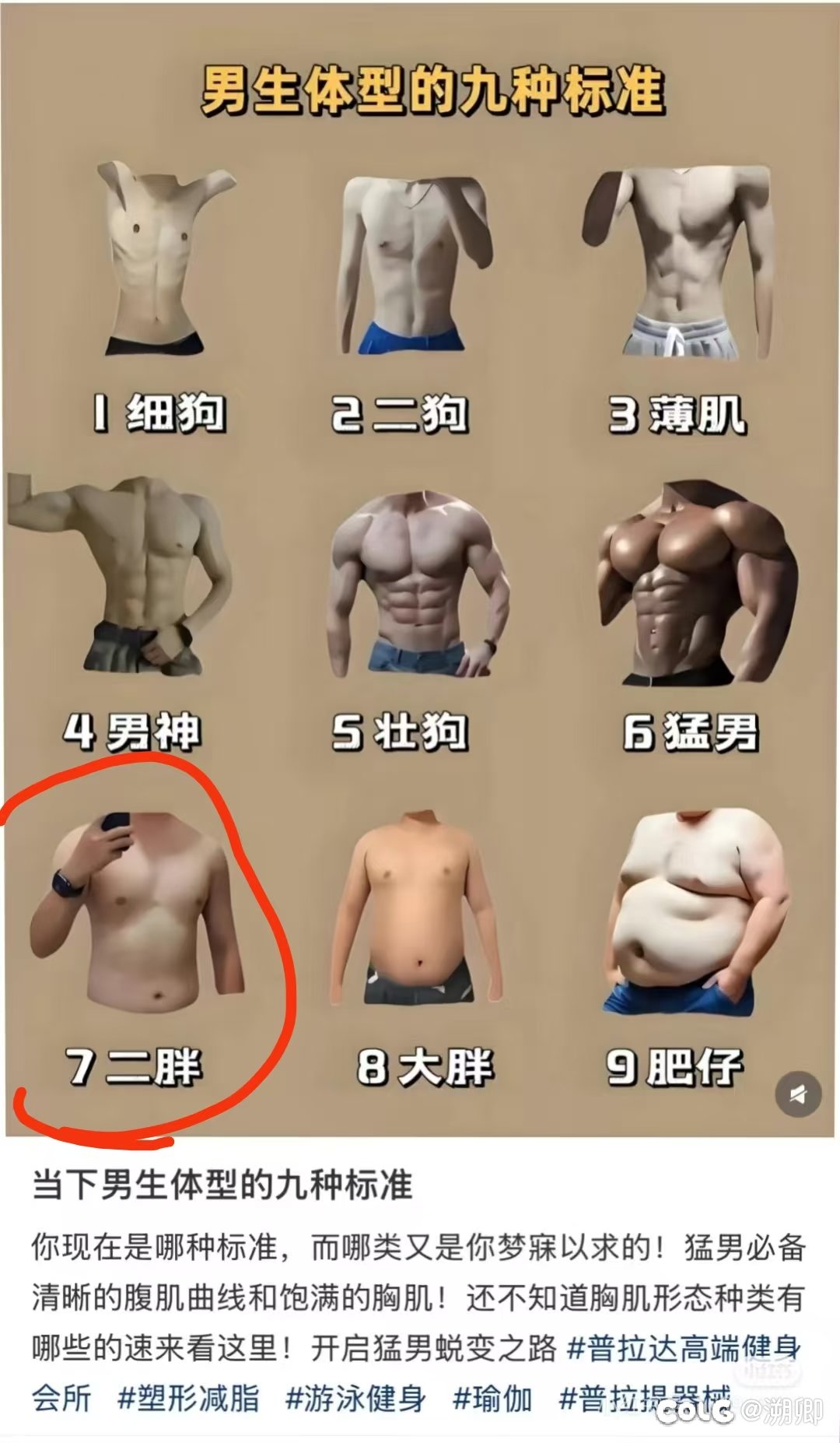 感觉这二胖也不算胖1