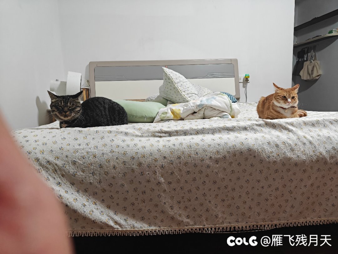 雌雄双煞1