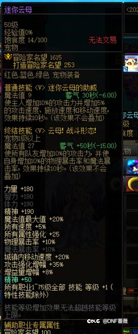 DNF各个节日礼包特色道具（回归玩家版）13