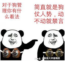 从周日开始预测明天爆1