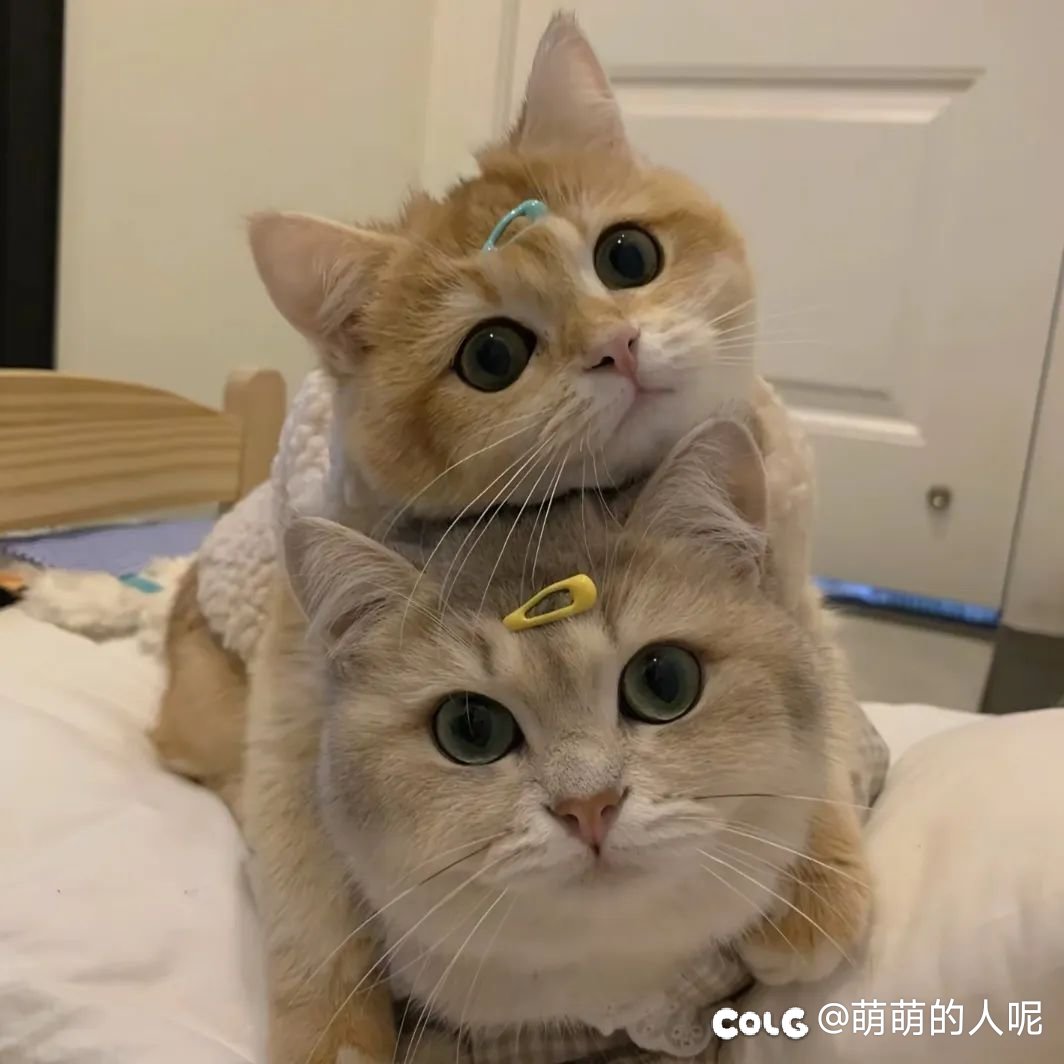 闭关🔒群1