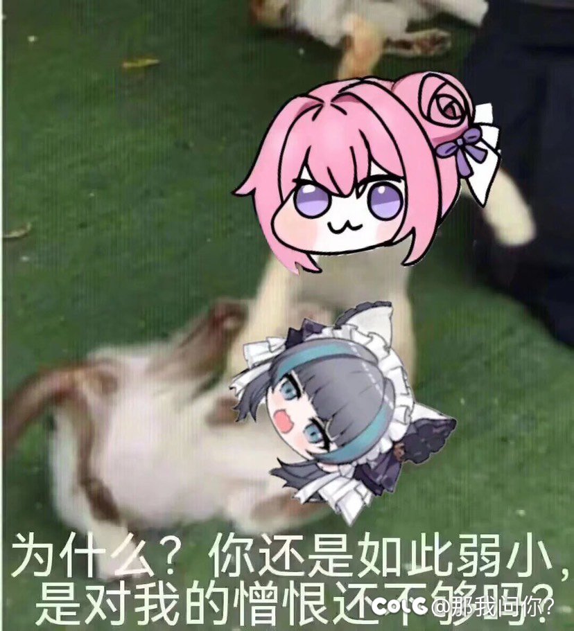 热榜的队长应该是被做局了1