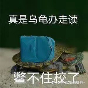 这次更新的真棒3