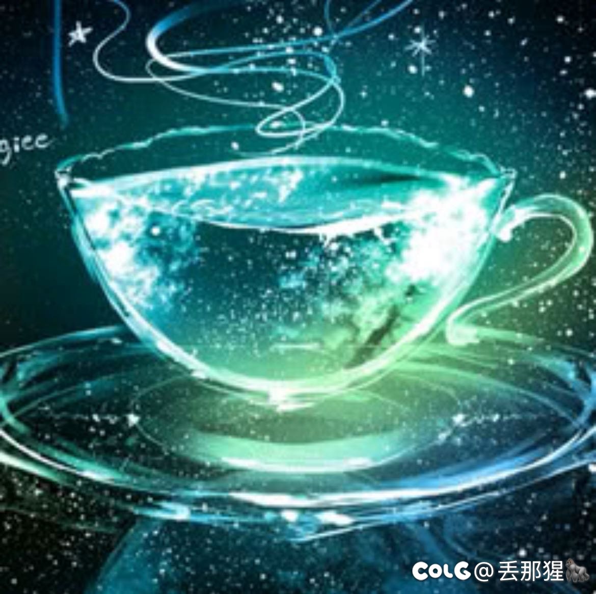 C站两大神人1