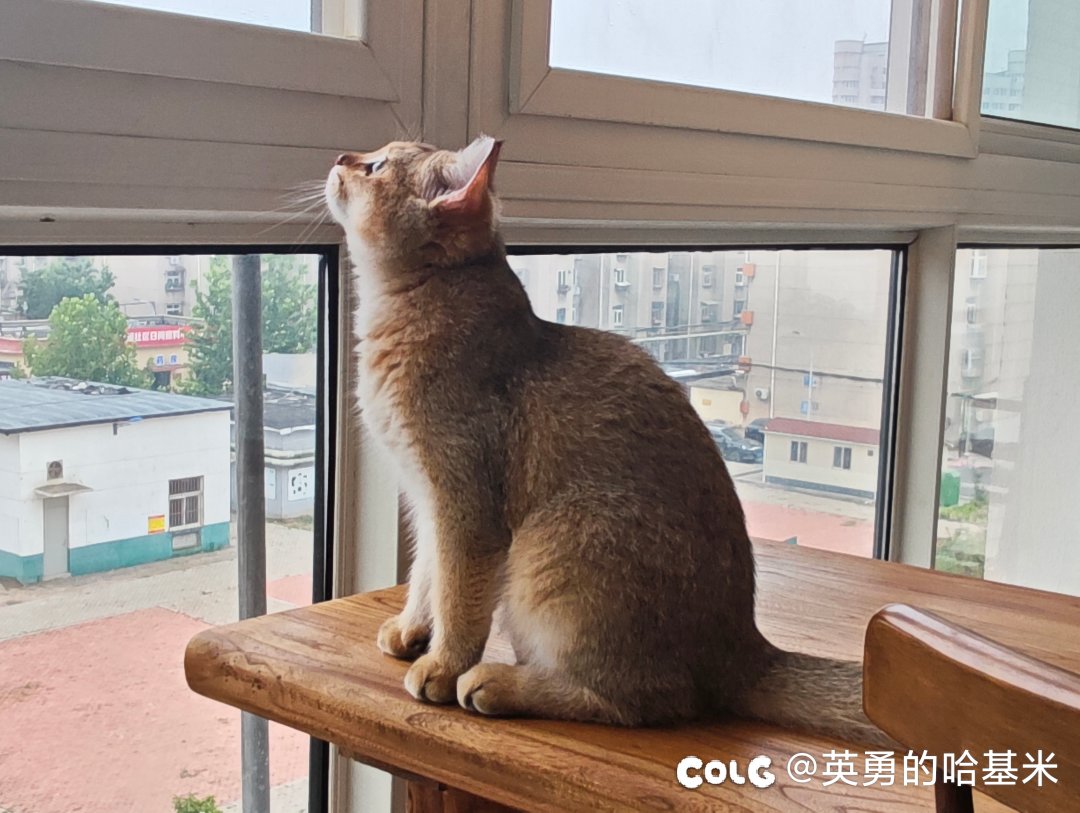 跨6“情绪价值”小团体初步想法1
