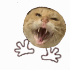 守护者的大雷还是太权威了，回归群友最终选择入龙门🙏🏻3