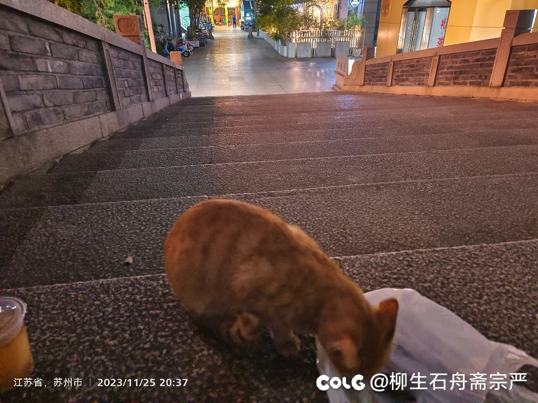 玩8个角色的话，起码要两轮年套其余礼包一轮吧？那么4个角色呢1