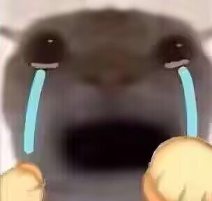 丑陋地过了3
