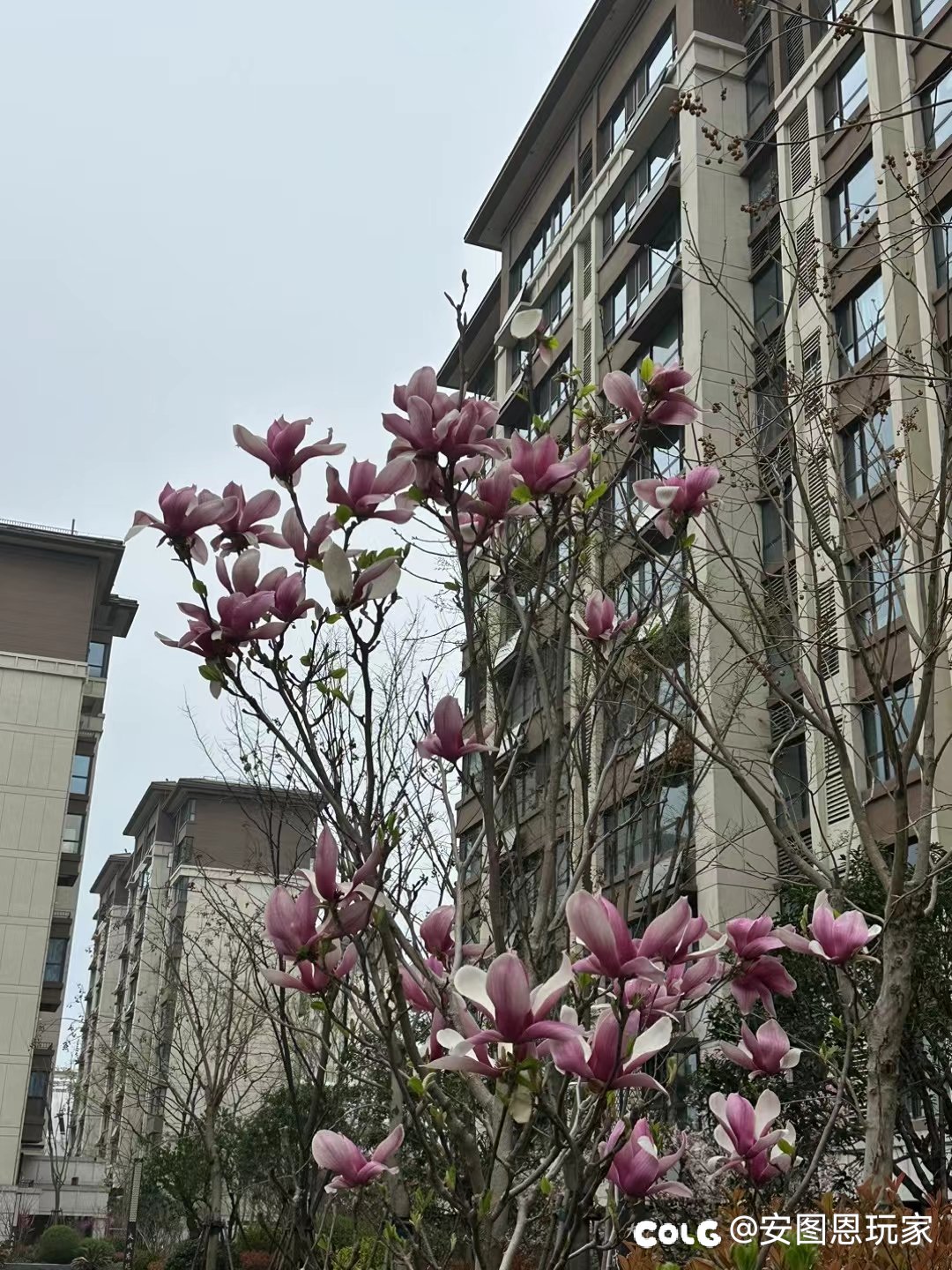 有没有人跟我一样1