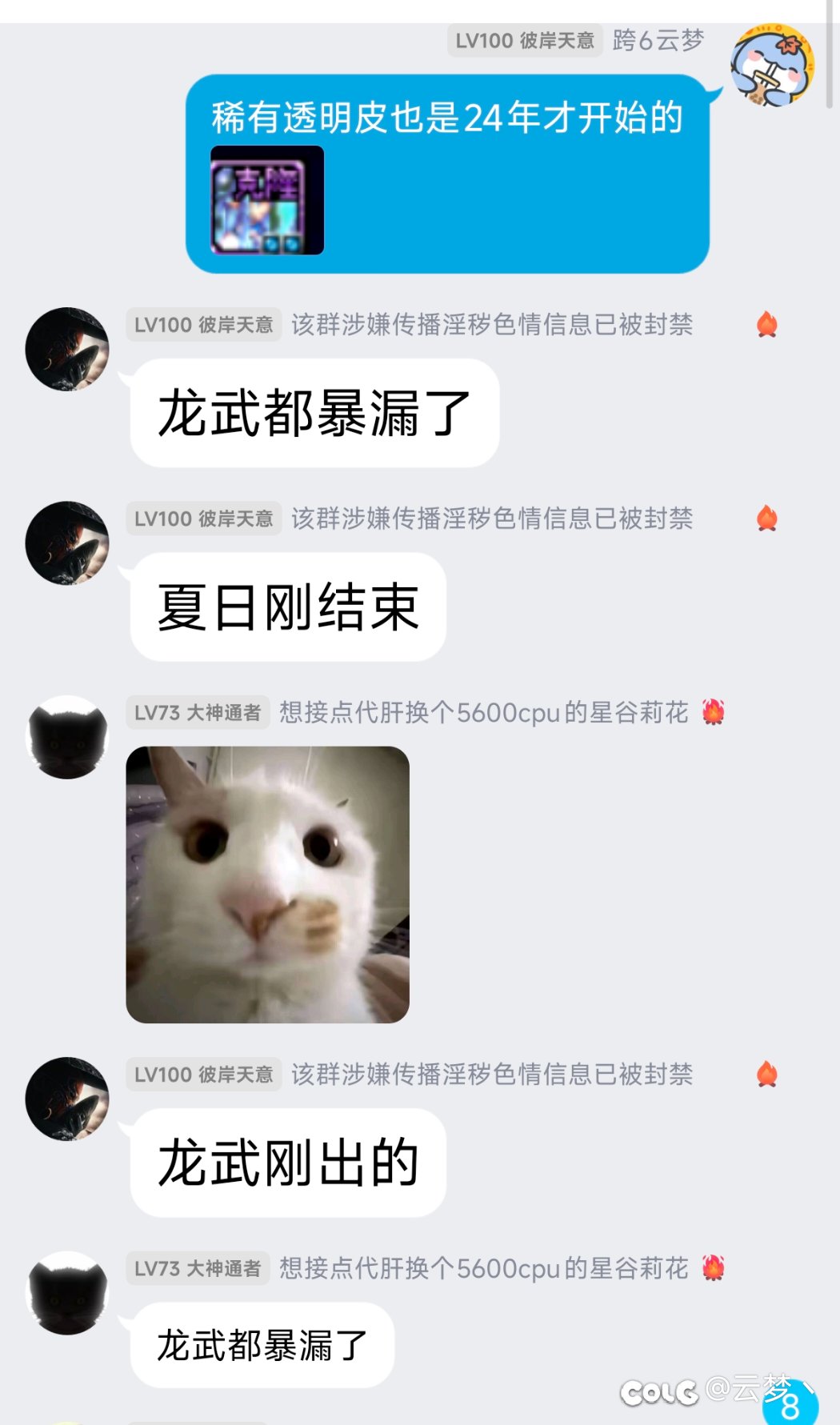 带着龙武说特色好久没换了2