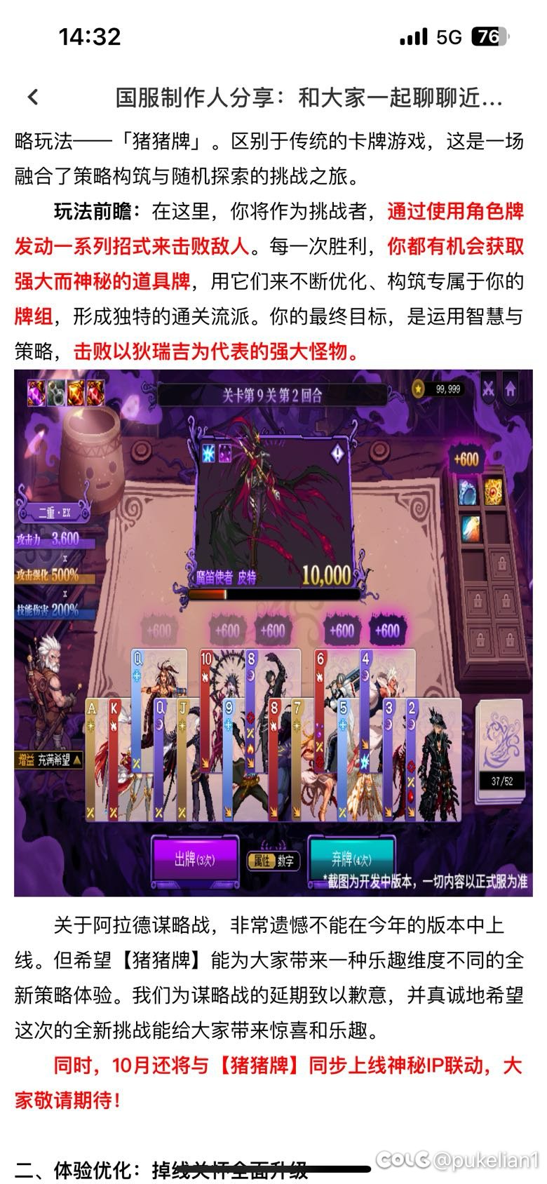 随便鸽，随便鸽1