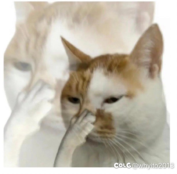 我是白🦊，我现在笑拉了6