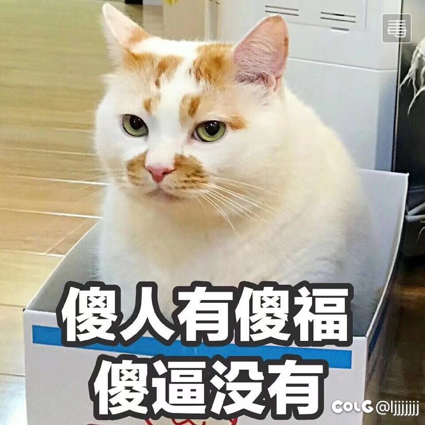 帕尼尼五万罐是有次数吗？1