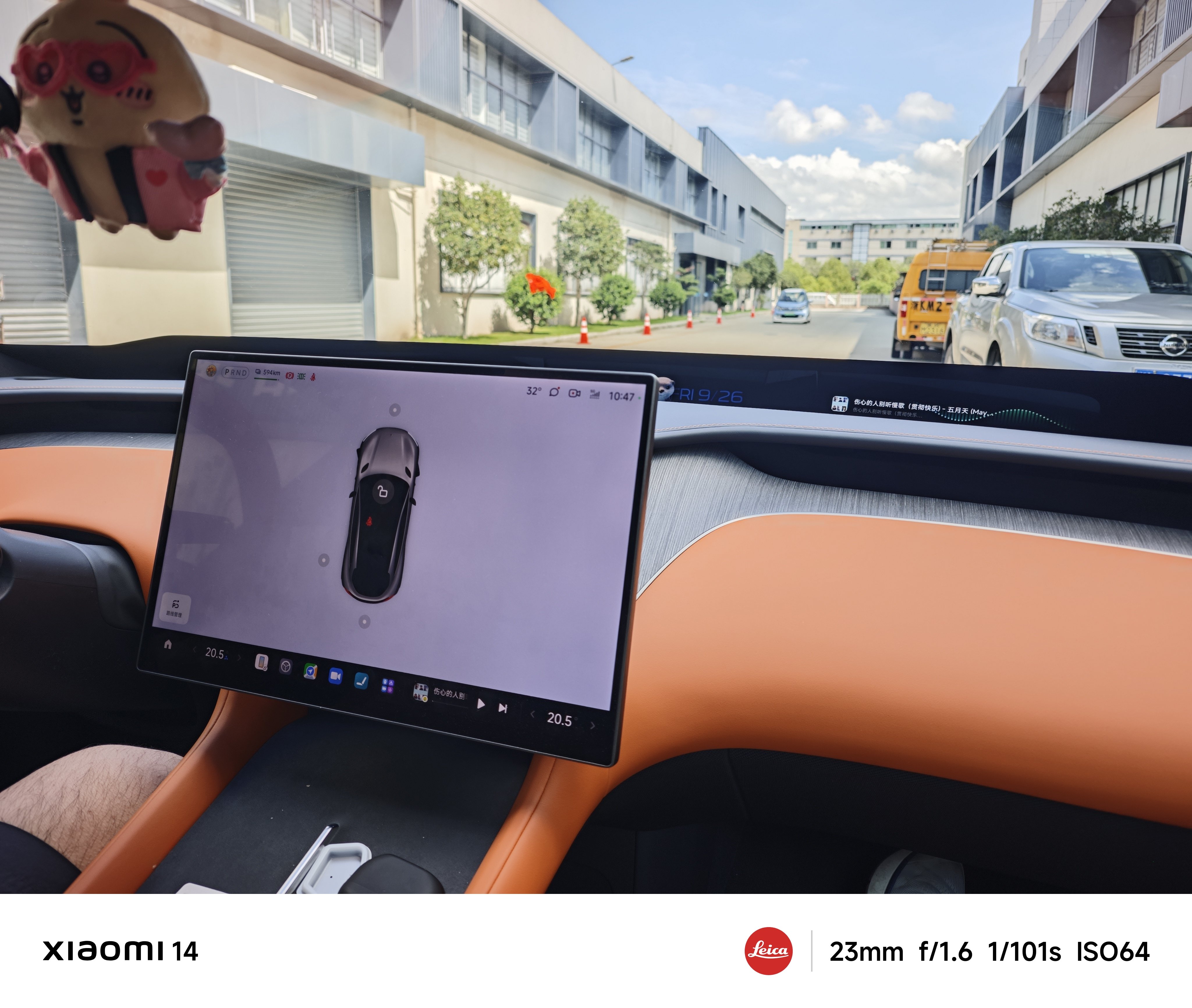 今天是纯血米boy1