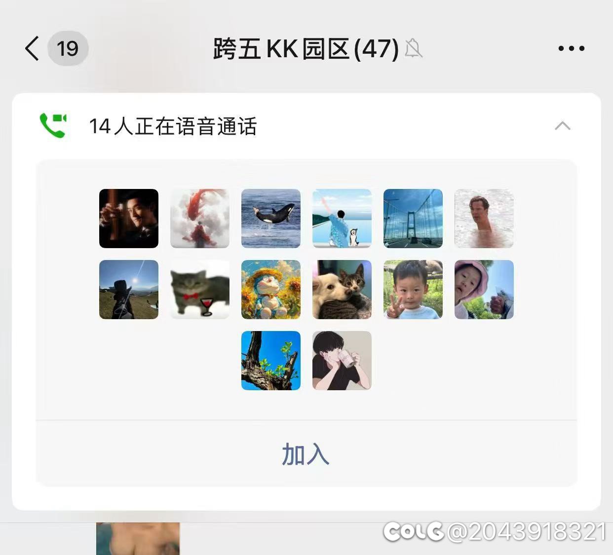 跨五小团体招人咯1